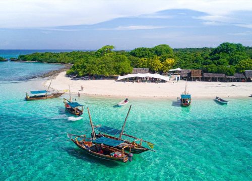 Safari Blue Tour | snorkeling with sea food lunch