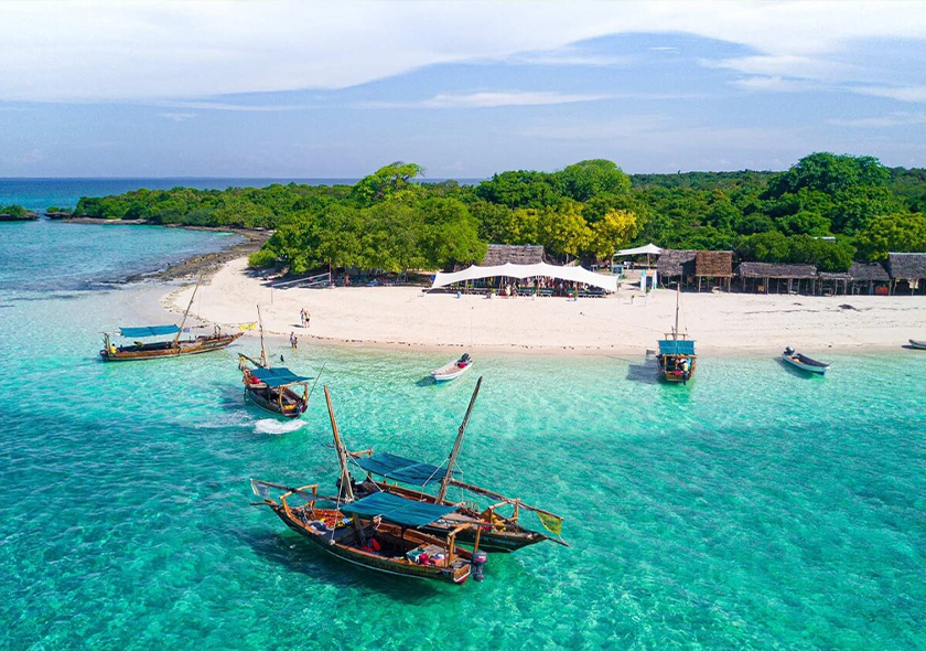 Safari Blue Tour | snorkeling with sea food lunch