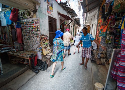 Guided trip to Stone Town City Walking Tour