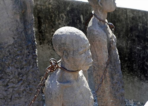 Private trip to Prison Island and Stone Town Walking City Tours