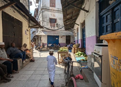 Private Trip to Spice Farm and Stone Town Tours
