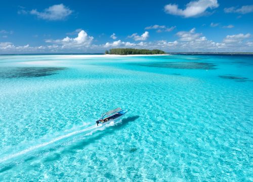 Mnemba Island Tour with Dolphin Watch