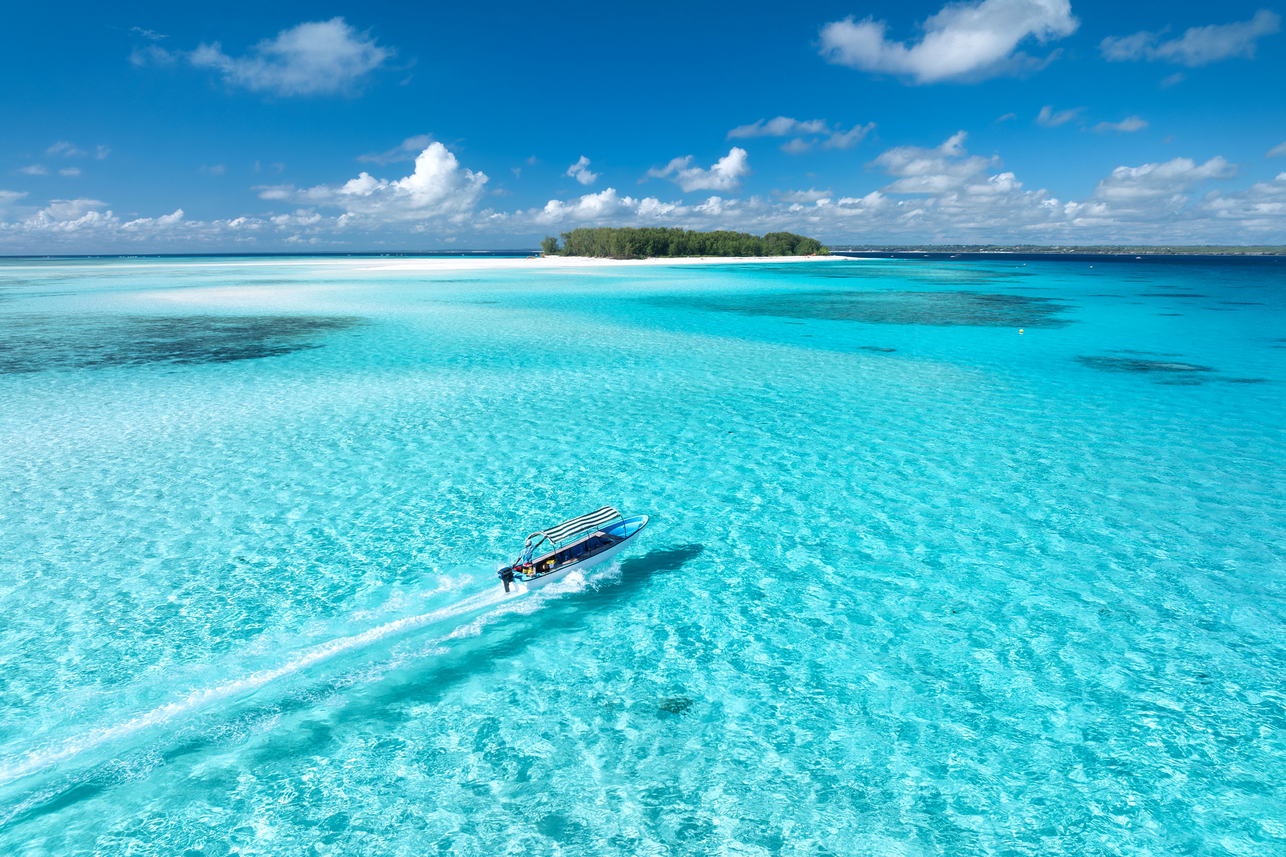 Mnemba Island Tour with Dolphin Watch