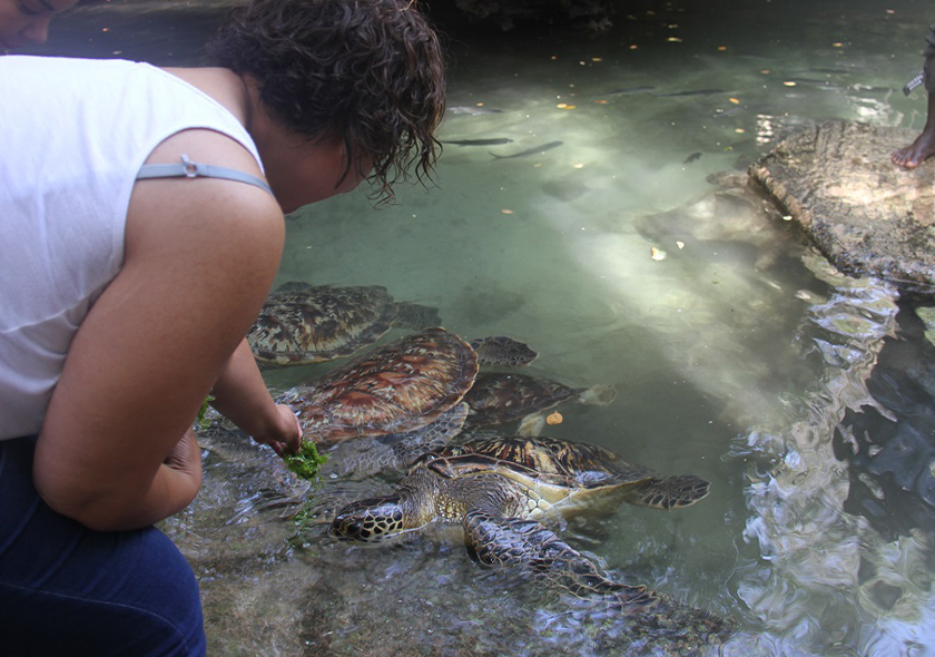 7 Days 6 Nights Zanzibar Tours Packages